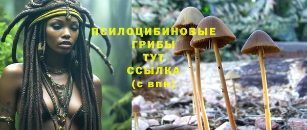 PSILOCYBIN Алексин