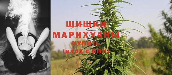 PSILOCYBIN Алексин
