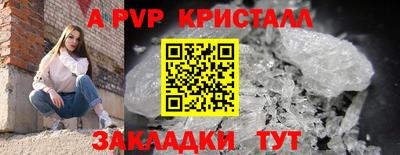 прущие грибы Конаково
