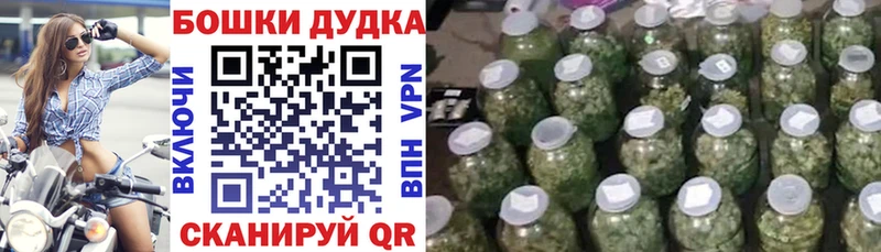 Каннабис план Конаково